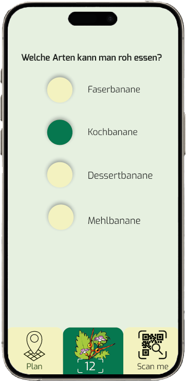 Löse das Quiz in der Quest-App